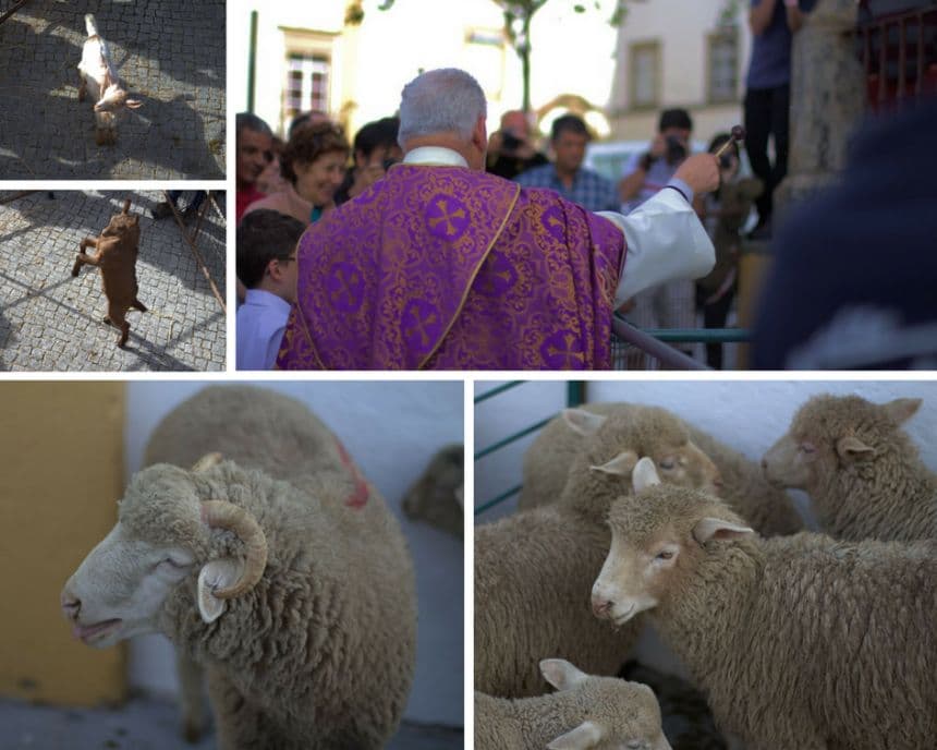 Semana Santa Raya