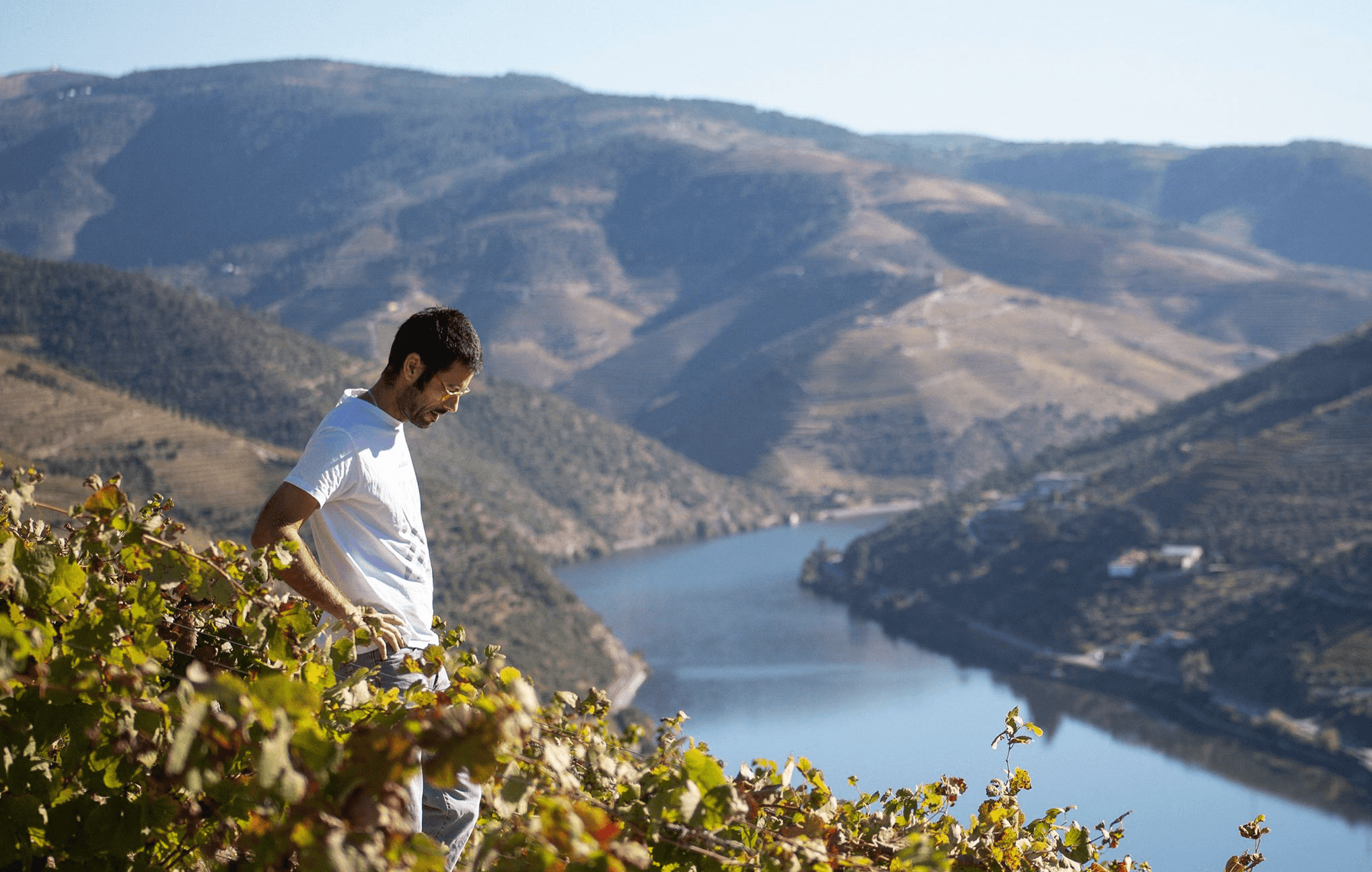 Ruta dos vinhos, Alentejo, enoturismo, turismo, vinos, Évora, Monsaraz, Esporão