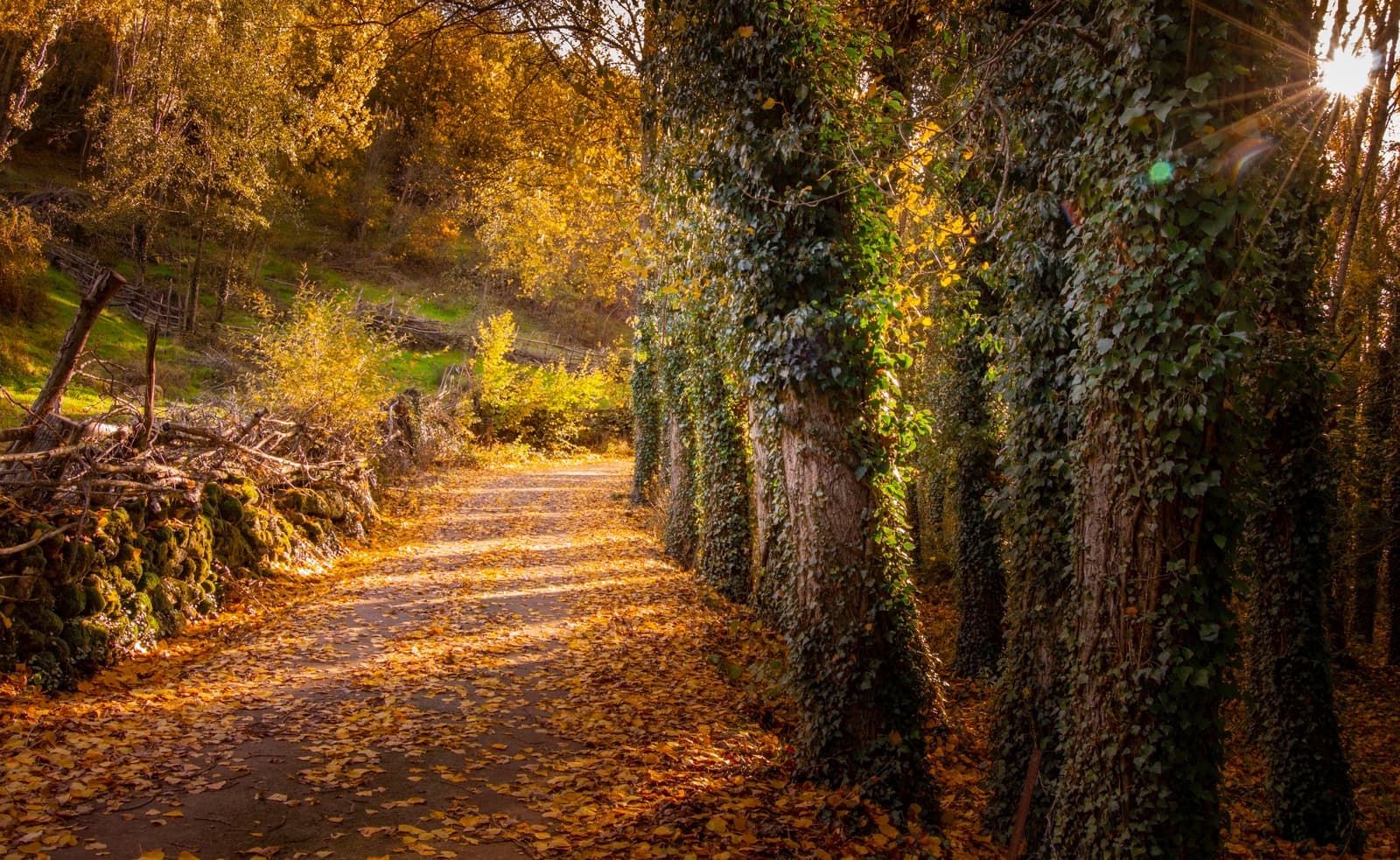 Iván Martín, citas viajeras, octubre, otoño, turismo, turismo rural, Extremadura Portugal, otoño mágico, Valle del Ambroz