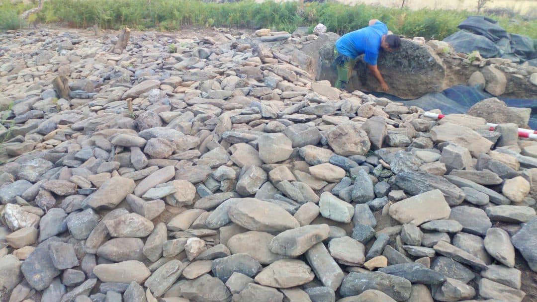 AC Vetones, Sierra de Gata, Hernán Pérez, arqueología, agronatura, despoblación, excavación
