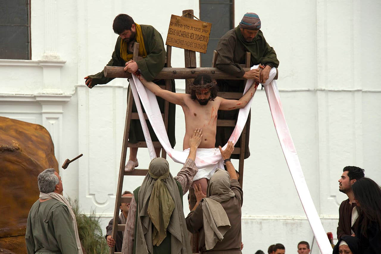Pasión Viviente Oliva