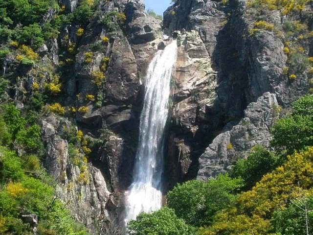 Salto da pega, Adelino Pinto Carvalhão