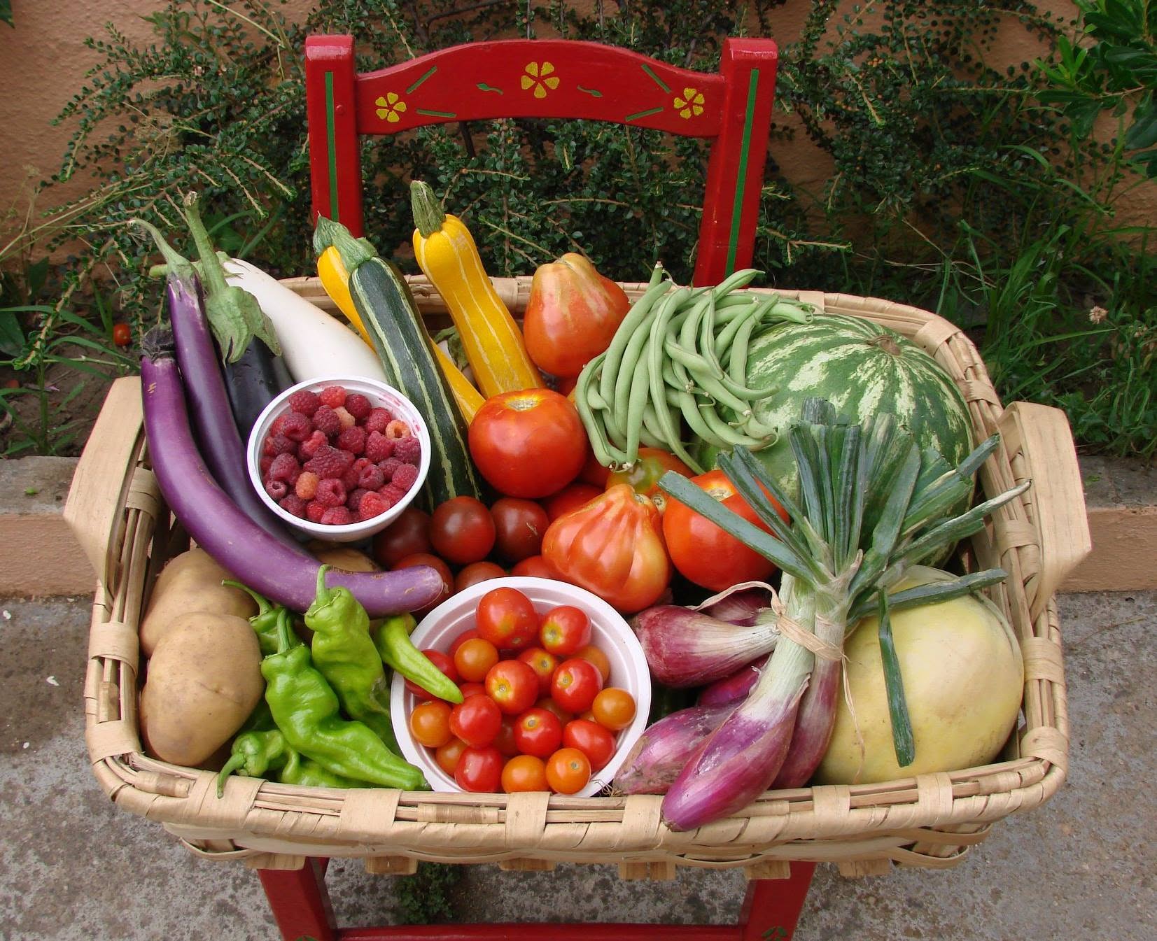 La Codosera, Huertas del Abrilongo, agronatura, agroecología, ecología, Badajoz, Extremadura