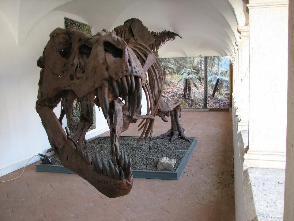 Interior del Centro de Ciencia Viva de Estremoz.