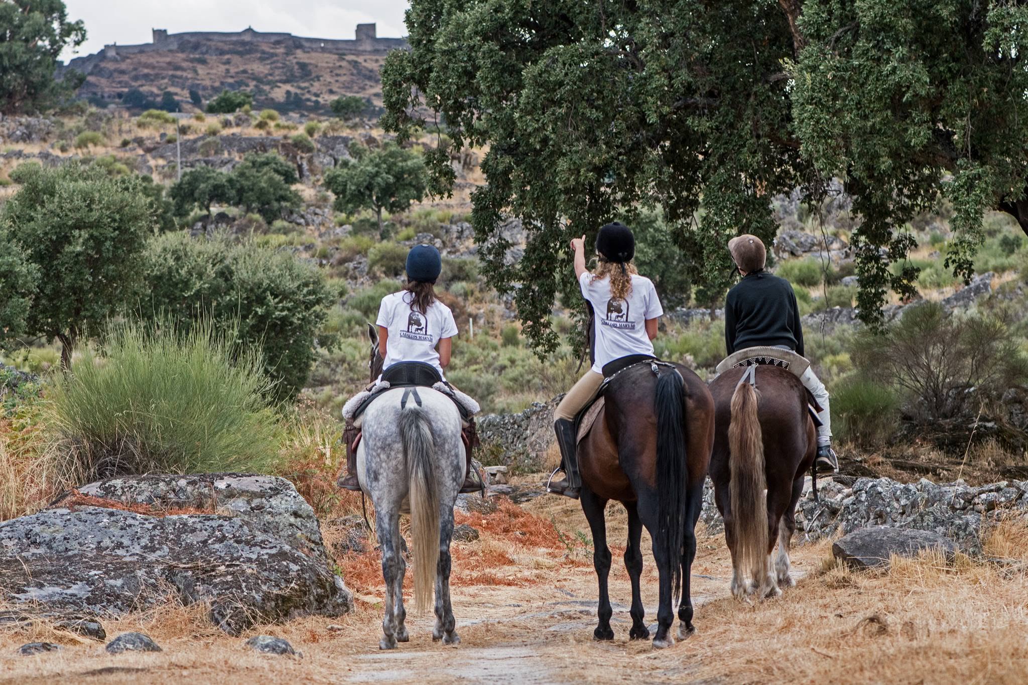 Caballos Marvão, Marvão, turismo, turismo rural, Alentejo