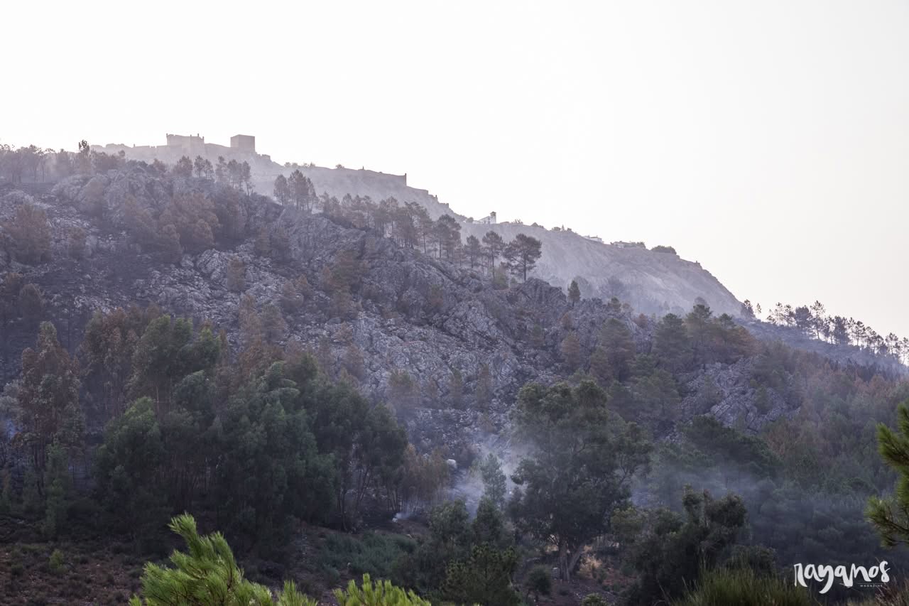 incendios, Sierra de Jola, Marvão, agronatura, Alentejo