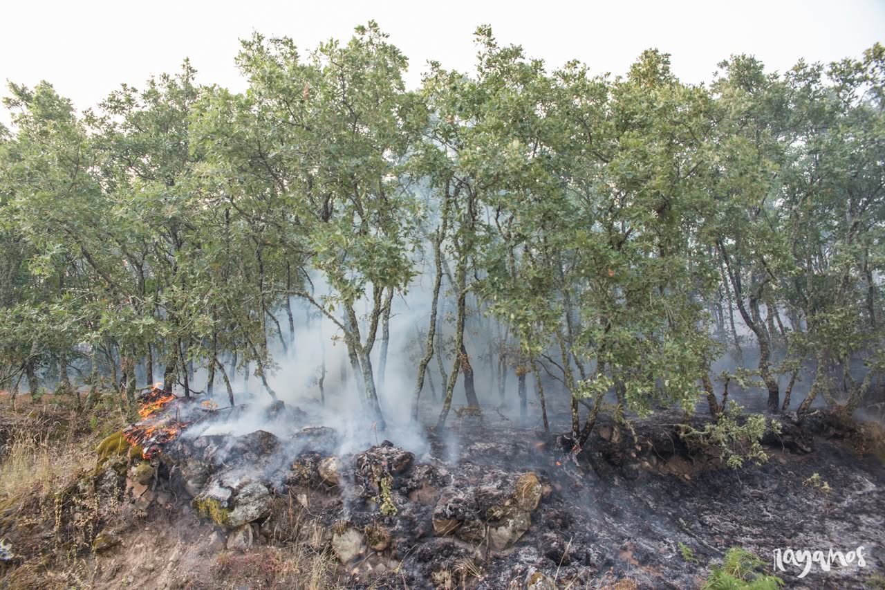 incendios, Sierra de Jola, Marvão, agronatura, Alentejo