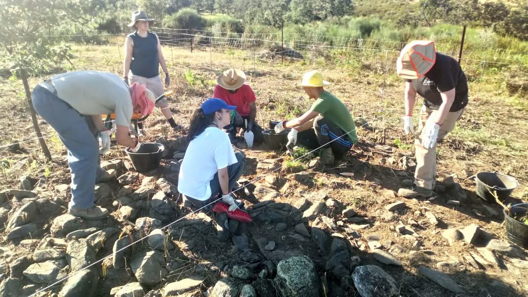 AC Vetones, Sierra de Gata, Hernán Pérez, arqueología, agronatura, despoblación, excavación