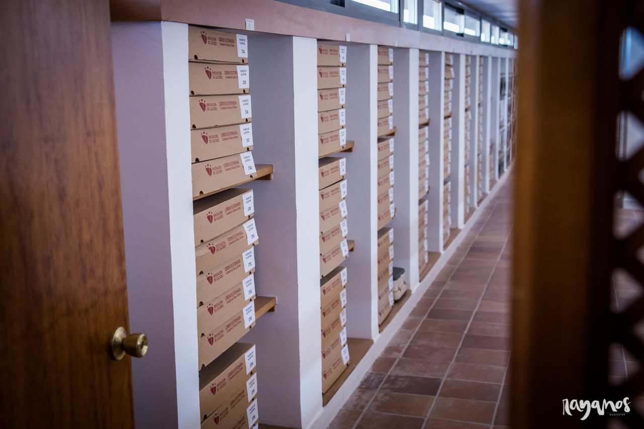 Archivo histórico, Valencia de Alcántara, libros, cultura, Extremadura